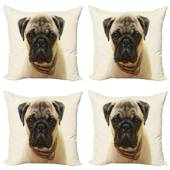 Ambesonne Pug Throw Pillow Cover 4 Pack, Pure Bred Dog Photograph, 16", Pale Brown Black