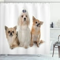 thumbnail image 1 of Ambesonne Puppy Shower Curtain, Chihuahua and Maltese Dogs, 69"Wx84"L, Pale Brown White, 1 of 3