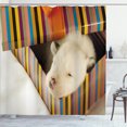 thumbnail image 1 of Ambesonne Puppy Shower Curtain, Dog in Gift Box Photo, 69"Wx75"L, Multicolor, 1 of 3