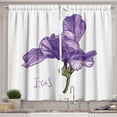 thumbnail image 1 of Ambesonne Purple Green Kitchen Curtains, Early Summer Beauty, 55"x36", Lavender Violet, 1 of 1