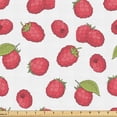 thumbnail image 1 of Ambesonne Raspberry Fabric by the Yard Upholstery, Cartoonish Fruit Pattern, 5 Yards, Dark Coral and Apple Green, 1 of 1