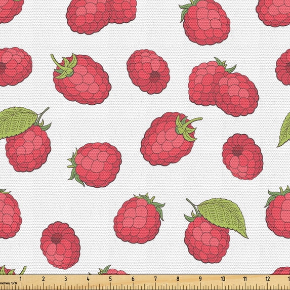 Ambesonne Raspberry Fabric by the Yard Upholstery, Cartoonish Fruit Pattern, 5 Yards, Dark Coral and Apple Green