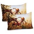 thumbnail image 1 of Ambesonne Retro Pillow Sham 2 Pack, Bike in Sepia Tones Rural, 26"x20", Red Orange Yellow, 1 of 3