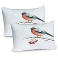 thumbnail image 1 of Ambesonne Rowan Pillow Sham 2 Pack, Wild Bird Watercolor, 26"x20", Coral Pale Grey Black, 1 of 3