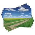 thumbnail image 1 of Ambesonne Rustic Home Place Mats Set of 4, Flower Field, Standard Size, Green Blue White, 1 of 6