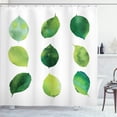 thumbnail image 1 of Ambesonne Sage Shower Curtain, Watercolor Fresh Foliage, 69"Wx84"L, Green White, 1 of 2