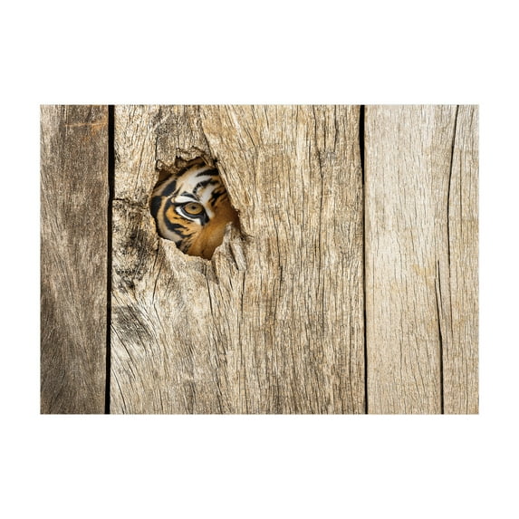 Ambesonne Savannah Jigsaw Puzzle, Siberian Wild Tiger Eye, Heirloom-Quality Fun Activity for Family Durable Cardboard, 1000 pcs, Tan