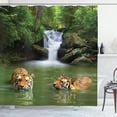 thumbnail image 1 of Ambesonne Savannah Shower Curtain, Siberian Tigers in Lake, 69"Wx84"L, Reseda Green and Orange, 1 of 4