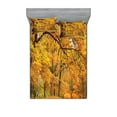 thumbnail image 1 of Ambesonne Scenery Fitted Sheet & Pillow Sham Set, Fall Pale Maple Trees, Full, Orange Brown, 1 of 2