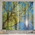 thumbnail image 1 of Ambesonne Scenery Kitchen Curtains, Pastoral Tree Branch, 55"x39", Green Blue, 1 of 1