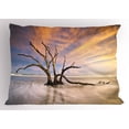 thumbnail image 1 of Ambesonne Scenery Pillow Sham, Dead Tree Sun Driftwood, 36" X 20", Beige and Orange, 1 of 2