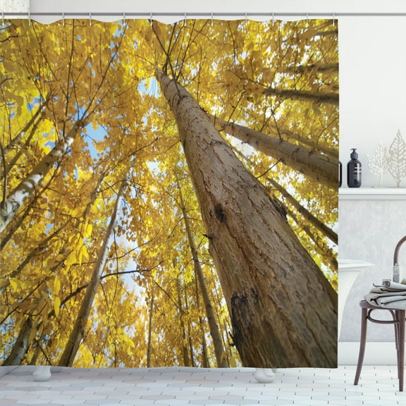 Ambesonne Scenery Shower Curtain, Aspen Trees in Forest, 69"Wx84"L, Yellow