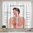 thumbnail image 1 of Ambesonne Science Kitchen Curtains, Anatomy Body Lungs Scheme, 55"x30", Blush White and Blue, 1 of 3