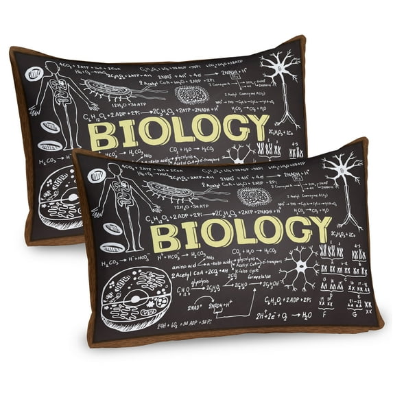 Ambesonne Science Pillow Sham 2 Pack, Biology, 26"x20", Black Brown Pale Yellow