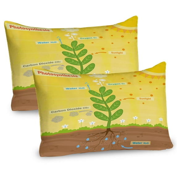 Ambesonne Science Pillow Sham 2 Pack, Cartoon Oxygen Sun, 30"x20", Earth Yellow Green Umber