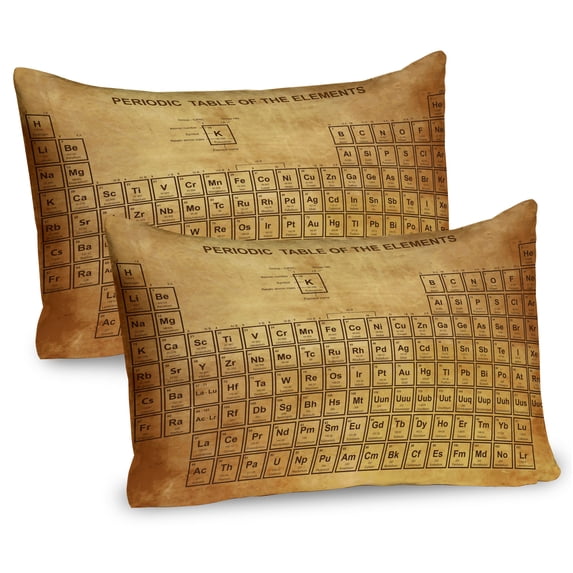 Ambesonne Science Pillow Sham 2 Pack, Vintage Chemistry Table, 26"x20", Sand Brown Brown