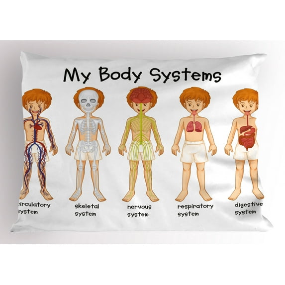 Ambesonne Science Pillow Sham, Human Nerve System, 26" X 20", Multicolor