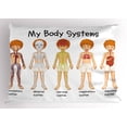 thumbnail image 1 of Ambesonne Science Pillow Sham, Human Nerve System, 36" X 20", Multicolor, 1 of 2