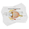 thumbnail image 1 of Ambesonne Science Place Mats Set of 4, Eye Cornea Pupils, Standard Size, Pale Blue Mustard Coral, 1 of 6