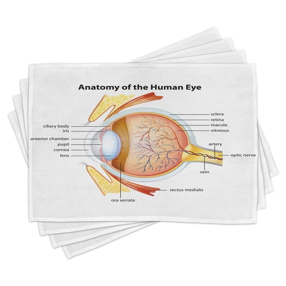 Ambesonne Science Place Mats Set of 4, Eye Cornea Pupils, Standard Size, Pale Blue Mustard Coral