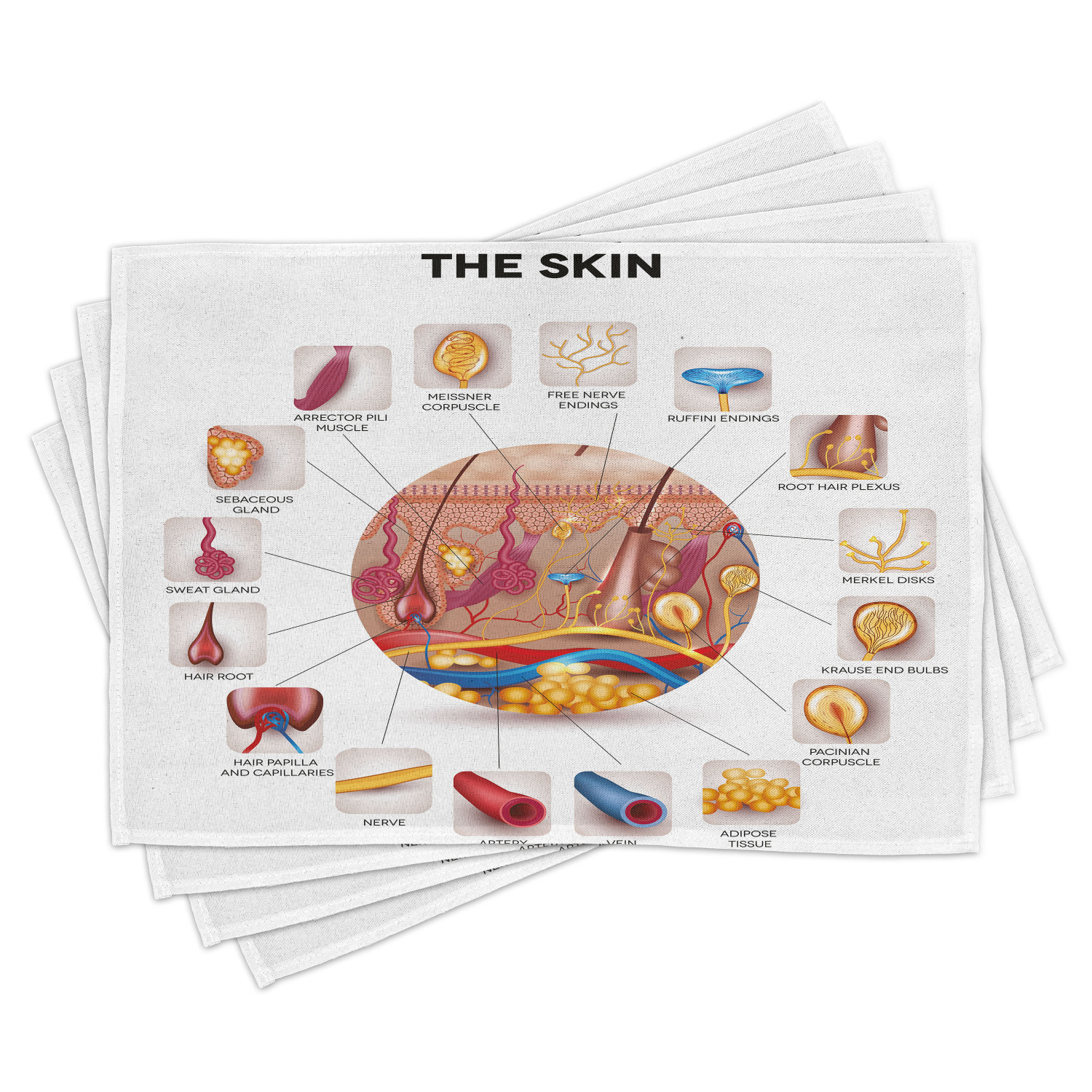 Ambesonne Science Place Mats Set of 4, Skin Anatomy Veins, Standard ...