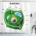 thumbnail image 1 of Ambesonne Science Shower Curtain, Cell Biology Plant, 69"Wx84"L, Green Pale Blue, 1 of 3