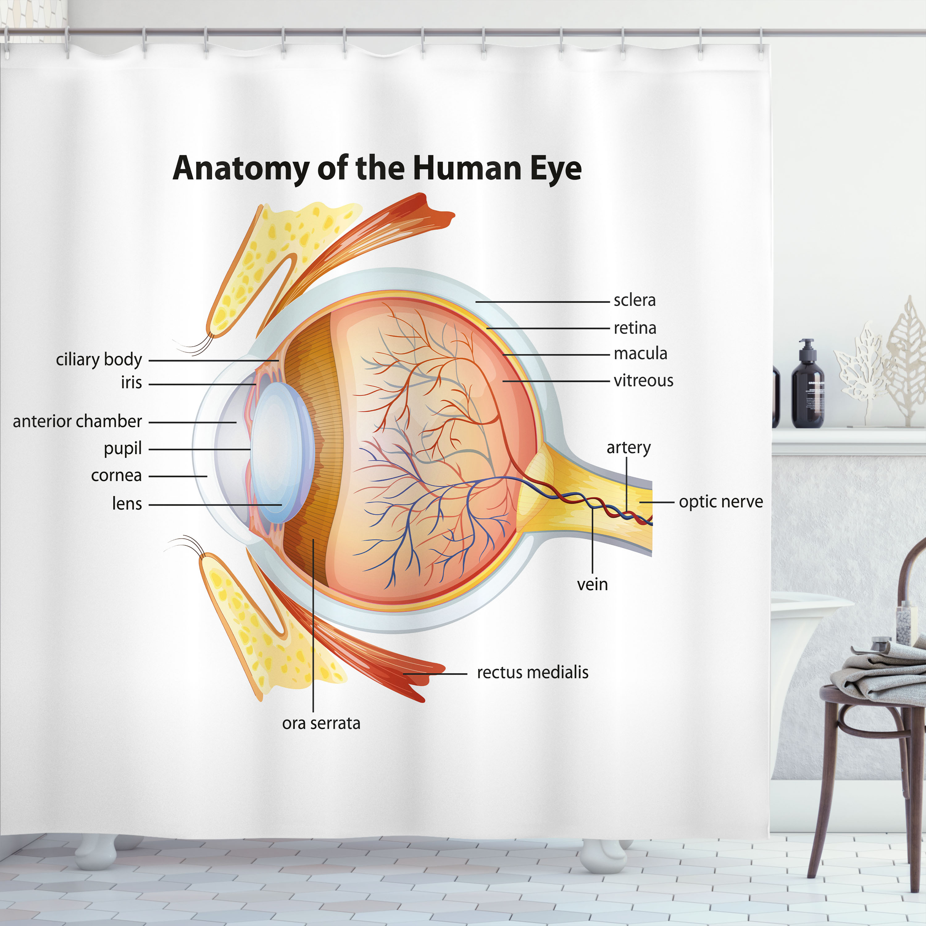 Ambesonne Science Shower Curtain – Chemistry Lab Illustration, 69x70 Inches – Water-Resistant Polyester With Hooks