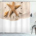 thumbnail image 1 of Ambesonne Sea Life Shower Curtain, Close up Shot Seashells, 69"Wx75"L, Apricot White, 1 of 3