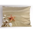 thumbnail image 1 of Ambesonne Shell Pillow Sham, Exotic Seashells with Sand, 26" X 20", Pale Sepia Salmon Ivory, 1 of 2
