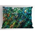 thumbnail image 1 of Ambesonne Shell Pillow Sham, Haliotis Seashell Macro Photo, 26" X 20", Multicolor, 1 of 2