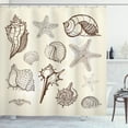 thumbnail image 1 of Ambesonne Shell Shower Curtain, Grunge Outline Nautical Art, 69"Wx75"L, Dark Rosewood Eggshell, 1 of 3