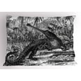 thumbnail image 1 of Ambesonne Sketchy Pillow Sham, Old Crocodile in Forest, 26" X 20", Charcoal Grey, 1 of 2