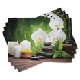 thumbnail image 1 of Ambesonne Spa Place Mats Set of 4, Stones and Orchids, Standard Size, White Green and Black, 1 of 6