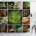 thumbnail image 1 of Ambesonne Spa Shower Curtain, Stone Herbal Botanic Plant, 69"Wx70"L, Green White and Brown, 1 of 3