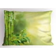 thumbnail image 1 of Ambesonne Spa Themed Pillow Sham, Green Trees in Exotics, 36" X 20", Pale Green and Green, 1 of 2