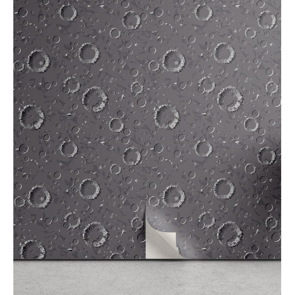 Ambesonne Space Peel & Stick Wallpaper for Home, Asteroid Surface Crater, 13"x72", Dimgrey