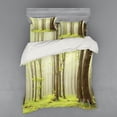thumbnail image 1 of Ambesonne Spring Bedding Set 4 Pcs, Misty Beech Forest Photo, Queen, Brown Green, 1 of 3