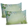 thumbnail image 1 of Ambesonne Spring Pillow Sham 2 Pack, Flowers Butterflies Pattern, 36"x20", Lime Green Pale Blue, 1 of 3