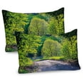 thumbnail image 1 of Ambesonne Spring Pillow Sham 2 Pack, Path in Forest by Lake, 26"x20", Lime Green Grey, 1 of 3