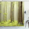 thumbnail image 1 of Ambesonne Spring Shower Curtain, Misty Beech Forest Photo, 69"Wx75"L, Brown Green, 1 of 5