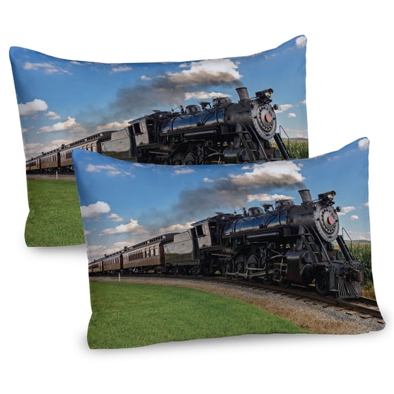 Ambesonne Steam Engine Pillow Sham 2 Pack, Countryside Train, 26"x20", Blue Green Black