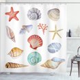 thumbnail image 1 of Ambesonne Summer Shower Curtain, Seashells Exotic Animals, 69"Wx70"L, Multi, 1 of 5