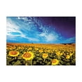 thumbnail image 1 of Ambesonne Sunflower Jigsaw Puzzle, Sunflower Garden Nature, Heirloom-Quality Fun Activity for Family Durable Cardboard, 1000 pcs, Yellow and Blue, 1 of 5