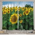 thumbnail image 1 of Ambesonne Sunflower Kitchen Curtains, Field of Summer Flowers, 55"x45", Emerald Mustard and Pale Blue, 1 of 1