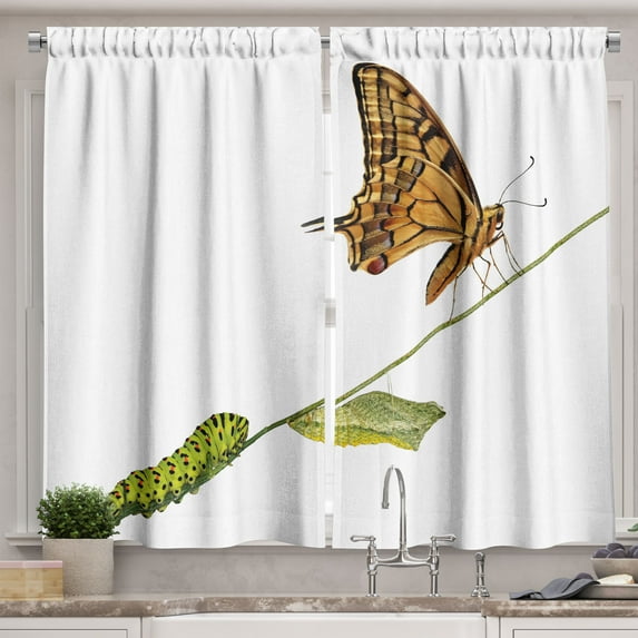 Ambesonne Swallowtail Kitchen Curtains, Life's Stages, 55"x45", Pale Brown Green