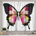 thumbnail image 1 of Ambesonne Swallowtail Kitchen Curtains, Lively Insect, 55"x39", Multicolor, 1 of 3