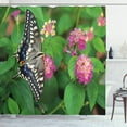 thumbnail image 1 of Ambesonne Swallowtail Shower Curtain, Eco Nature, 69"Wx70"L, Green Pink Black, 1 of 3