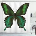 thumbnail image 1 of Ambesonne Swallowtail Shower Curtain, Exotic Green, 69"Wx70"L, Olive Green Jade Green, 1 of 3