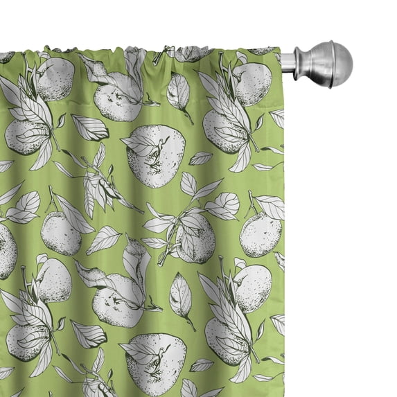 Ambesonne Tangerine Window Curtains, Sketch Drawn Citrus Fruit, Each 28" W x 95" L, Pistachio Green Emerald