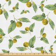 thumbnail image 1 of Ambesonne Tangerine Fabric by the Yard Upholstery, Clementines Mandarin Art, 5 Yards, White Earth Yellow, 1 of 5